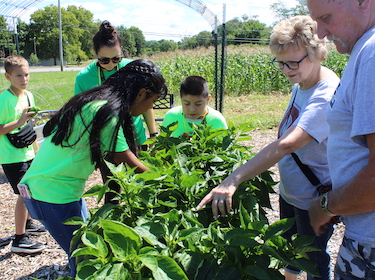 4-H Camp